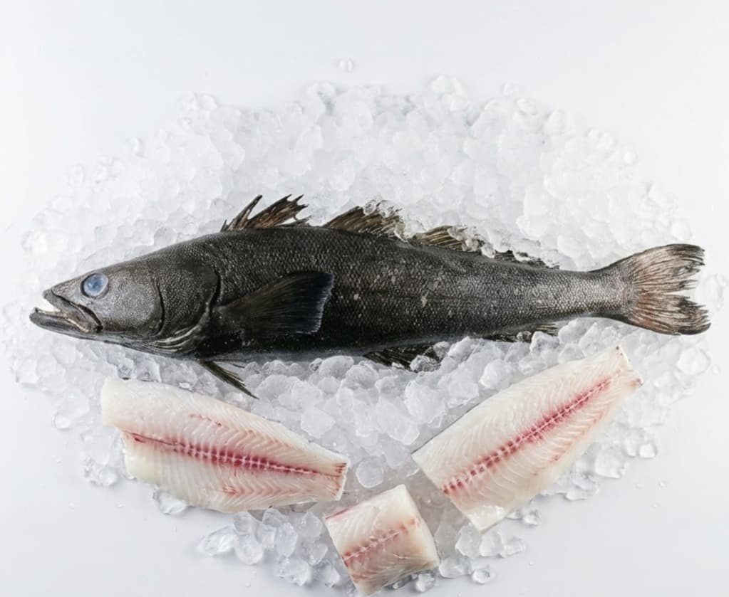 Chilean Seabass