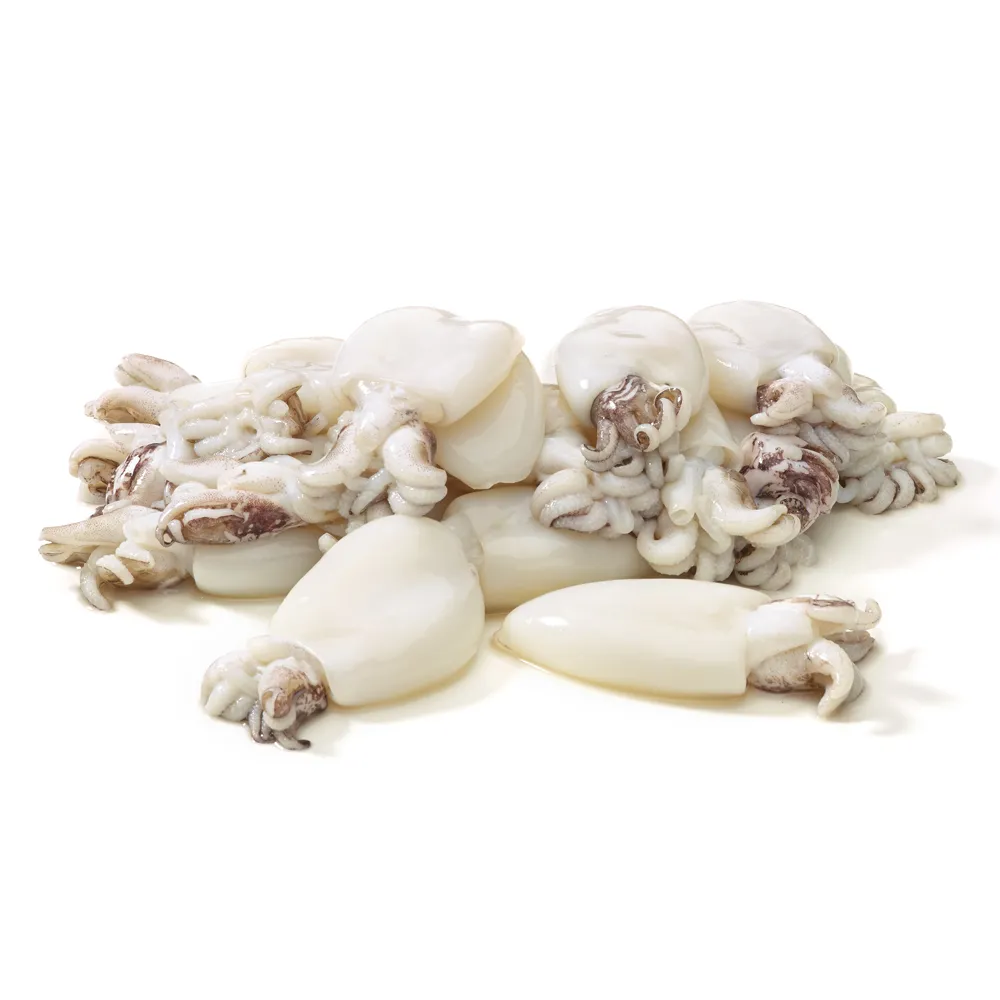 Cuttlefish