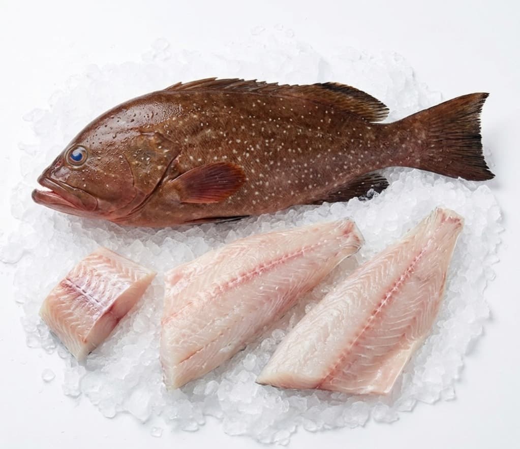 Grouper