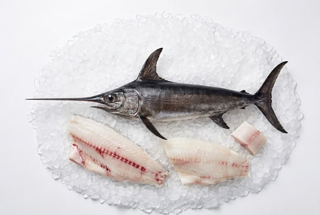 Sword Fish