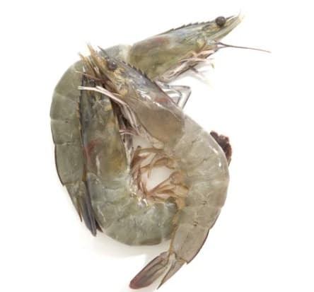 Black Tiger Shrimps