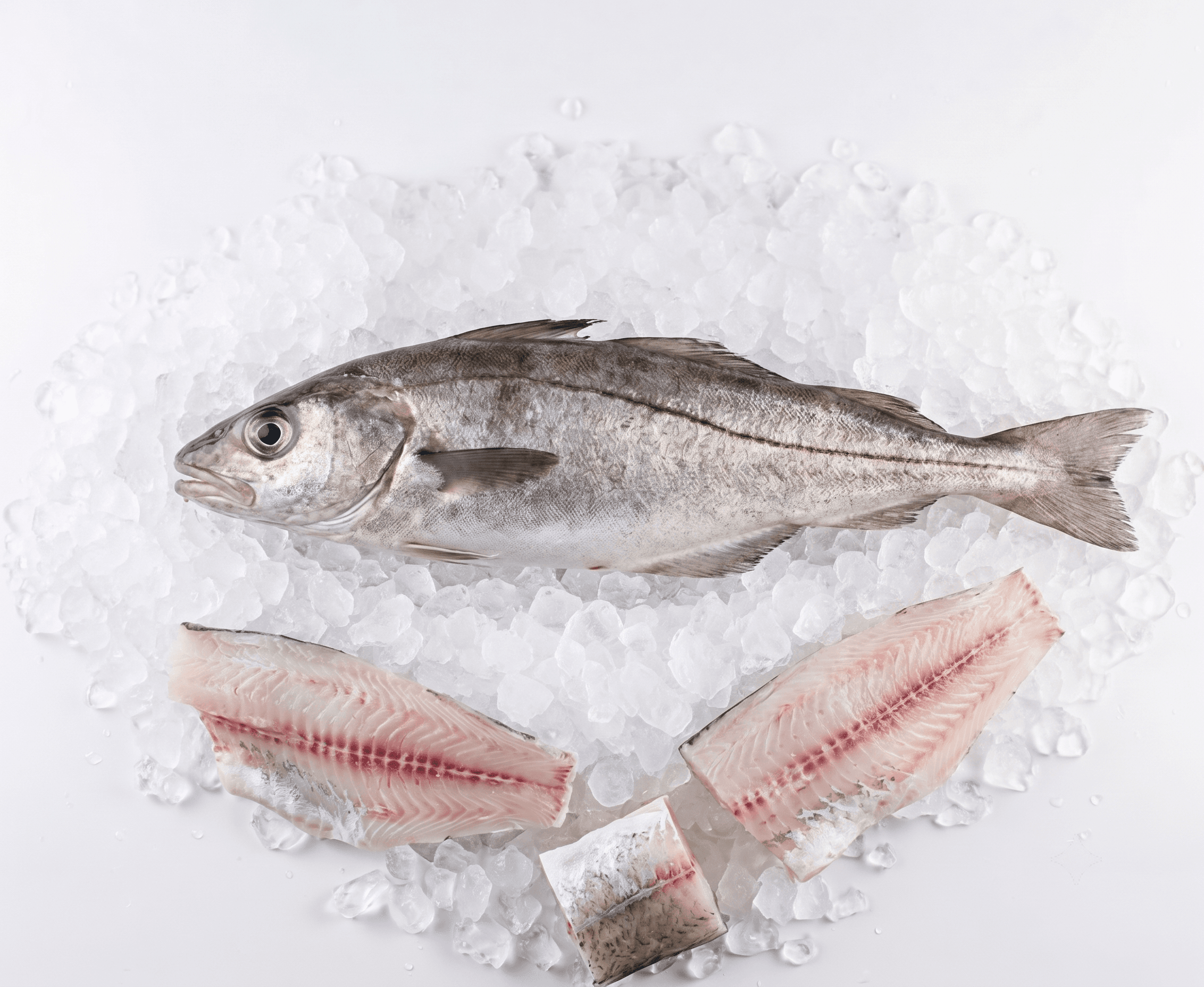 Haddock