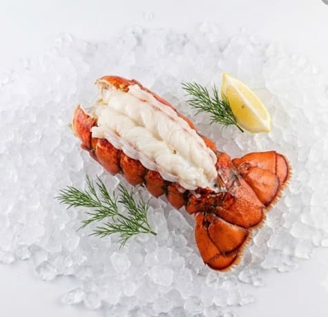 Lobster