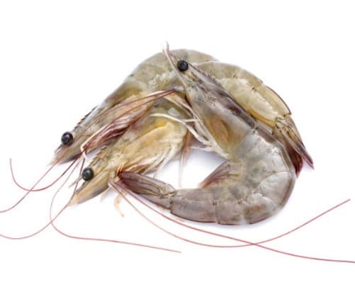 Vannamei Shrimps